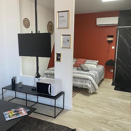Studio Cosy Tt Confort Proche Aeroport Colombier-Saugnieu Εξωτερικό φωτογραφία