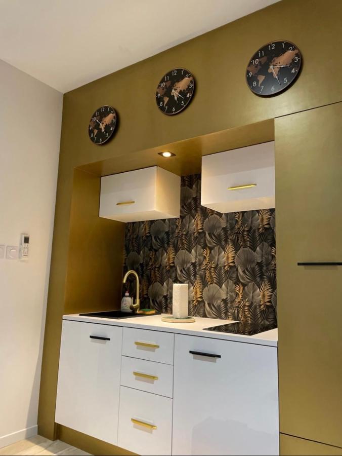Studio Cosy Tt Confort Proche Aeroport Colombier-Saugnieu Εξωτερικό φωτογραφία