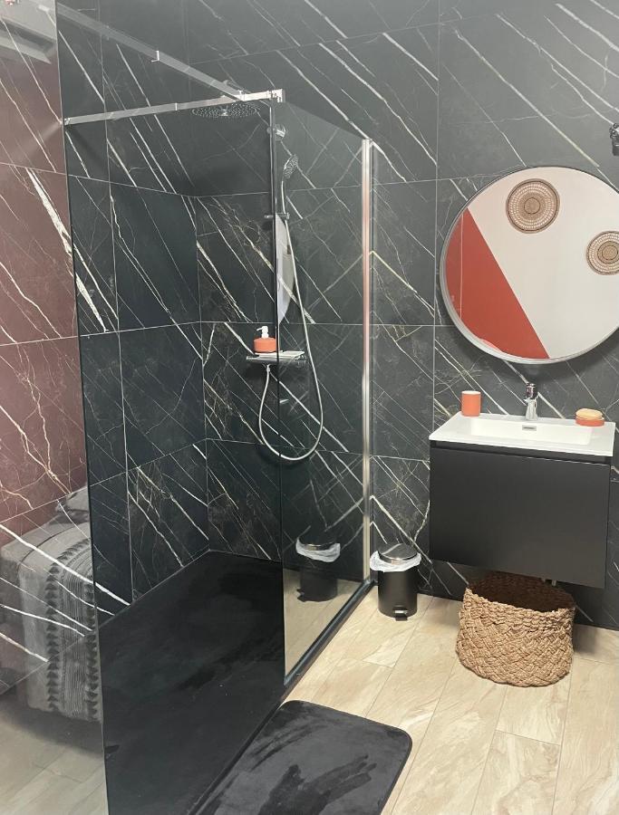 Studio Cosy Tt Confort Proche Aeroport Colombier-Saugnieu Εξωτερικό φωτογραφία