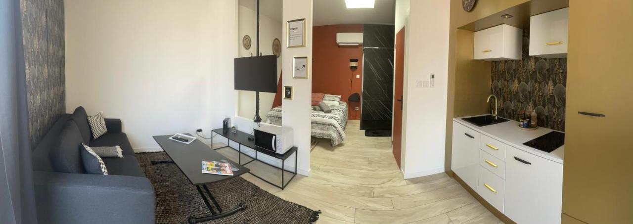 Studio Cosy Tt Confort Proche Aeroport Colombier-Saugnieu Εξωτερικό φωτογραφία